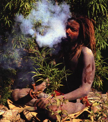 http://www.hoboes.com/pub/Prohibition/Drug%20Information/Marijuana/Graphics/hashish-smoker.jpg